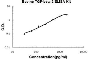 Bovine TGF-beta 2 PicoKine ELISA Kit standard curve (TGFB2 Kit ELISA)