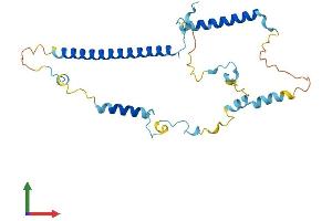AlphaFold protein structure predicition of Human Recombinant LENG1 Protein, UniprotID Q96BZ8