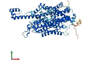 AlphaFold protein structure predicition of Mouse Recombinant Slc6a19 Protein, UniprotID Q9D687