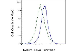 Validation of RAD21 knockdown using flow cytometry. (Recombinant RAD21 anticorps)