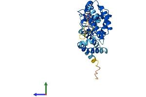 AlphaFold protein structure predicition of Human Recombinant CXorf38 Protein, UniprotID Q8TB03