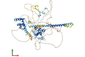 AlphaFold protein structure predicition of Mouse Recombinant Jade1 Protein, UniprotID Q6ZPI0