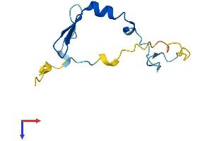 AlphaFold protein structure predicition of Human Recombinant EIF4EBP3 Protein, UniprotID O60516