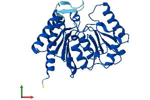 AlphaFold protein structure predicition of Human Recombinant IMPA1 Protein, UniprotID P29218