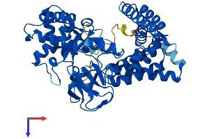 AlphaFold protein structure predicition of Human Recombinant SMYD1 Protein, UniprotID Q8NB12