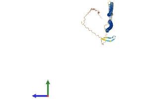 AlphaFold protein structure predicition of Mouse Recombinant Krt27 Protein, UniprotID Q9Z320