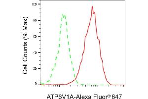 Flow cytometric analysis of ATP6V1A expression in HepG2 cells using ATP6V1A antibody (ABIN7797698), 1:2,000).