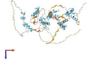 AlphaFold protein structure predicition of Human Recombinant ZNF48 Protein, UniprotID Q96MX3