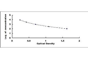 beta-Crosslaps (bCTx) ELISA Kit
