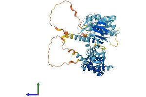 AlphaFold protein structure predicition of Mouse Recombinant Igf2bp3 Protein, UniprotID Q9CPN8