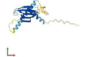 AlphaFold protein structure predicition of Mouse Recombinant Ap5s1 Protein, UniprotID Q9D742