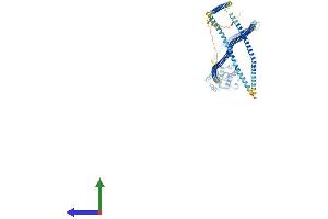 AlphaFold protein structure predicition of Human Recombinant HOOK3 Protein, UniprotID Q86VS8