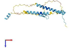 AlphaFold protein structure predicition of Mouse Recombinant Itgb3bp Protein, UniprotID Q9CQ82