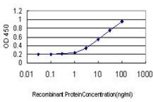 Detection limit for recombinant GST tagged TEK is approximately 0. (TEK anticorps  (AA 701-800))