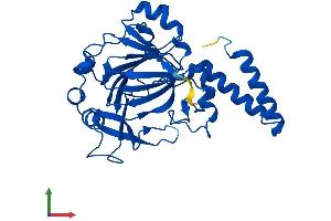AlphaFold protein structure predicition of Human Recombinant TYW5 Protein, UniprotID A2RUC4