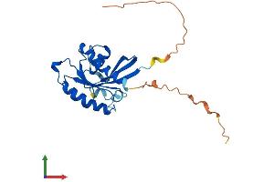AlphaFold protein structure predicition of Human Recombinant RAB33B Protein, UniprotID Q9H082