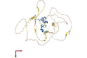 AlphaFold protein structure predicition of Human Recombinant ZFP36L2 Protein, UniprotID P47974