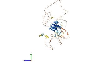 AlphaFold protein structure predicition of Human Recombinant AIRE Protein, UniprotID O43918