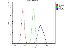 Flow Cytometry analysis of U20S cells using anti-WWOX antibody (ABIN5693294).