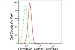 Flow cytometric analysis of Ferredoxin 1 expression in HepG2 cells using Ferredoxin 1 antibody (ABIN7798594), 1:2,000). (Recombinant Ferredoxin1 (FDX1) anticorps)