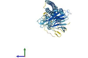 AlphaFold protein structure predicition of Mouse Recombinant Trim43b Protein, UniprotID P86448