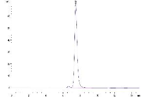 The purity of Biotinylated Human HLA-G Complex is greater than 95 % as determined by SEC-HPLC.