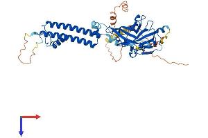 AlphaFold protein structure predicition of Mouse Recombinant Kcnj4 Protein, UniprotID P52189