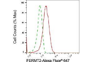 Flow cytometric analysis of FERMT2 expression in HepG2 cells using FERMT2 antibody (ABIN7798592), 1:2,000). (FERMT2 anticorps)