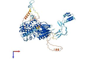 AlphaFold protein structure predicition of Mouse Recombinant Cpsf2 Protein, UniprotID O35218