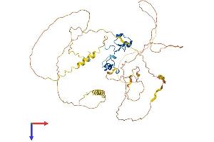 AlphaFold protein structure predicition of Mouse Recombinant Zfp36l2 Protein, UniprotID P23949
