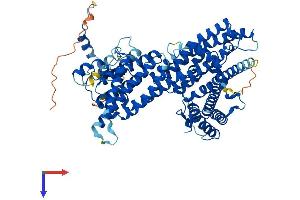 AlphaFold protein structure predicition of Human Recombinant NAA35 Protein, UniprotID Q5VZE5