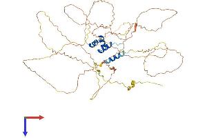 AlphaFold protein structure predicition of Mouse Recombinant Rsc1a1 Protein, UniprotID Q9ER99