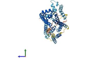 AlphaFold protein structure predicition of Human Recombinant SLC35B2 Protein, UniprotID Q8TB61