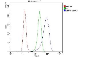 Flow Cytometry analysis of A431 cells using anti-SMN1/2 antibody (ABIN3043933).