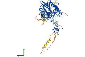 AlphaFold protein structure predicition of Human Recombinant APEX2 Protein, UniprotID Q9UBZ4