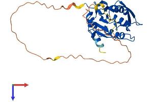 AlphaFold protein structure predicition of Human Recombinant CTDSPL Protein, UniprotID O15194