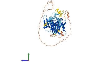 AlphaFold protein structure predicition of Mouse Recombinant Mettl18 Protein, UniprotID Q9CZ09