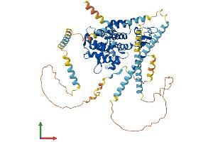 AlphaFold protein structure predicition of Human Recombinant DTNB Protein, UniprotID O60941