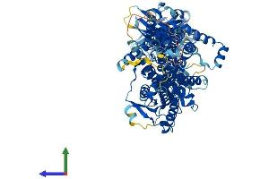 AlphaFold protein structure predicition of Human Recombinant PGAP1 Protein, UniprotID Q75T13