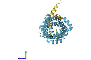 AlphaFold protein structure predicition of Mouse Recombinant Slc25a22 Protein, UniprotID Q9D6M3