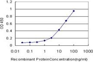 anti-CD7 (CD7) (AA 21-240) antibody