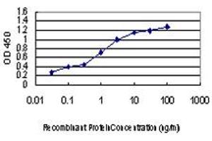 Detection limit for recombinant GST tagged GATA2 is approximately 0. (GATA2 anticorps  (AA 1-102))