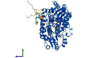 AlphaFold protein structure predicition of Human Recombinant GCKR Protein, UniprotID Q14397