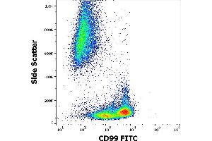 Flow cytometry surface staining pattern of human peripheral whole blood stained using anti-human CD99 (3B2/TA8) FITC antibody (4 μL reagent / 100 μL of peripheral whole blood). (CD99 anticorps  (FITC))