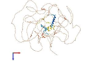 Chromosome 2 Open Reading Frame 78 (C2ORF78) (AA 1-922) protein (His tag)