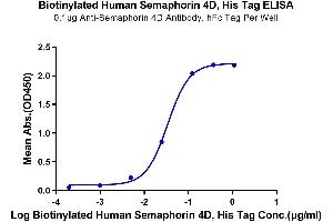 Immobilized Anti-Semaphorin 4D Antibody, hFc Tag at 1 μg/mL (100 μL/well) on the plate.