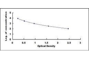 ELISA image for Insulin (INS) ELISA Kit (ABIN1383637)