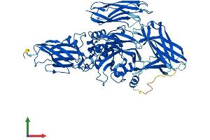 AlphaFold protein structure predicition of Mouse Recombinant Tgm4 Protein, UniprotID Q8BZH1