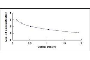 Typical standard curve (gamma-Endorphin Kit ELISA)