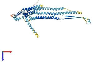 AlphaFold protein structure predicition of Mouse Recombinant Ocstamp Protein, UniprotID Q9D611